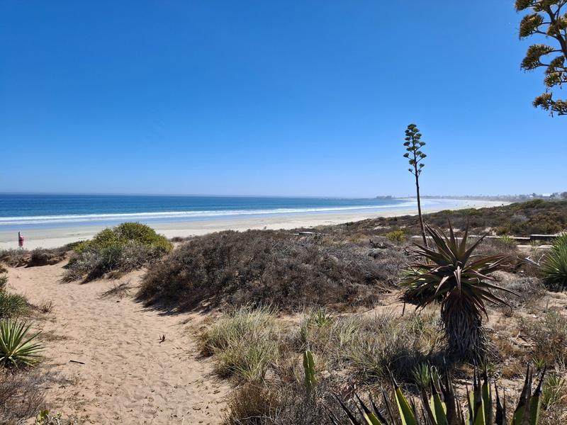 0 Bedroom Property for Sale in Golden Mile Western Cape